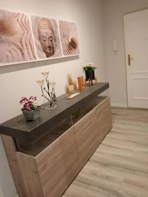 Apartamento Completo Centrico Santander 0*,